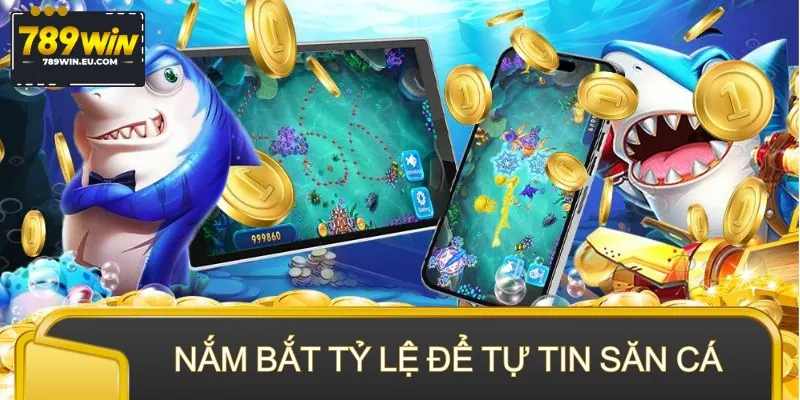 Newbie nắm bắt tỷ lệ cược để tự tin săn cá