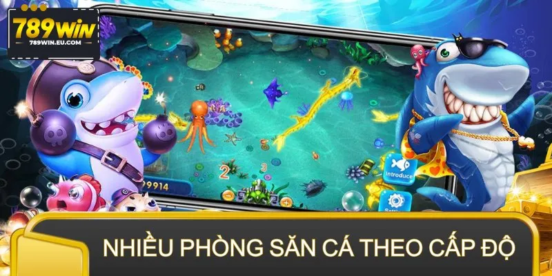 Hội viên được chọn nhiều phòng săn cá theo cấp độ