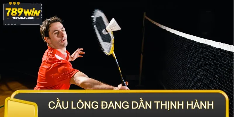 Cá cược cầu lông đang dần thịnh hành