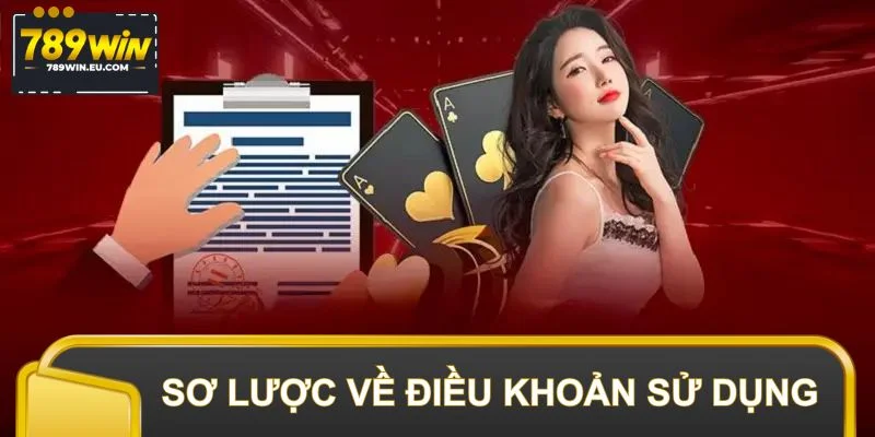 Sơ lược về điều khoản sử dụng