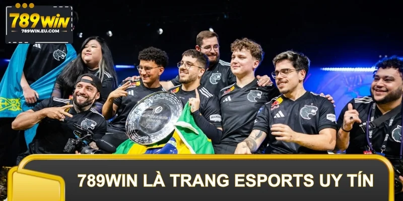 Nên truy cập 789WIN để tham gia nhiều giải đấu danh giá