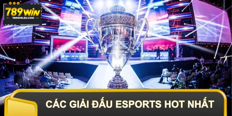 Tổng hợp 3 giải đấu Esports đang có lượt cược cao nhất