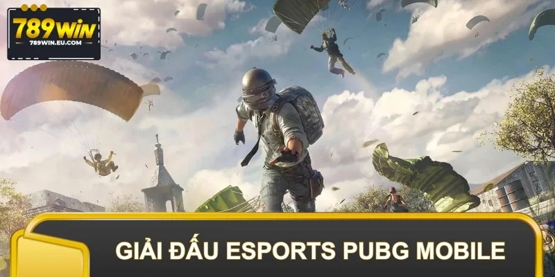 PUBG Mobile có quy mô lớn bậc nhất thế giới