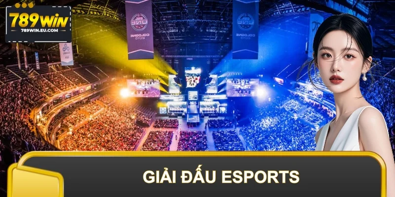 Giải Đấu Esports 2025 - Toàn Bộ Thông Tin Trong Một Bài Viết