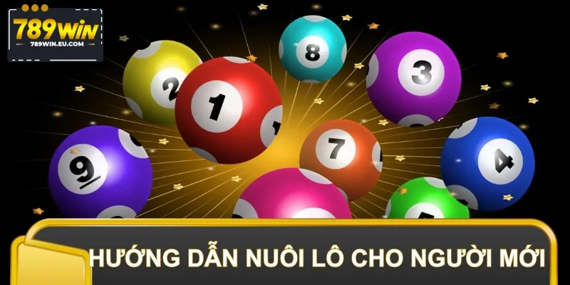 Hướng dẫn nuôi lô phiên bản chi tiết nhất