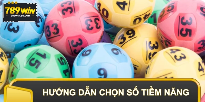 Cách chọn ra 1-2 con có tiềm năng để nuôi lâu dài