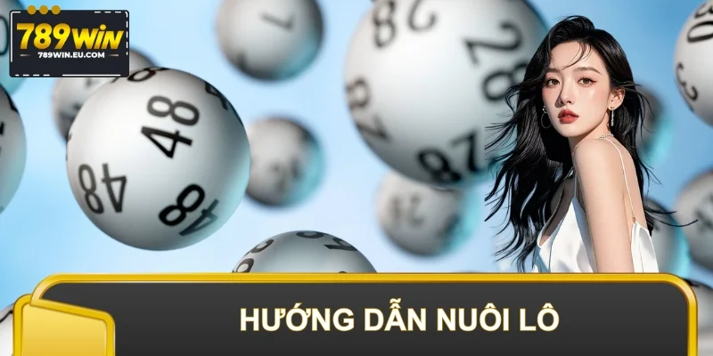 Hướng Dẫn Nuôi Lô Đơn Giản Nhưng Tỉ Lệ Trúng Cực Cao