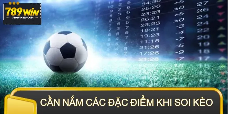 Hội viên cần nắm rõ các đặc điểm khi soi kèo cược