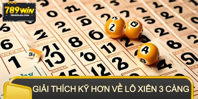 Giải thích kỹ hơn về lô xiên 3 càng cho newbie