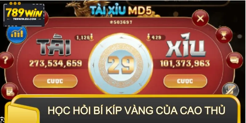 Học hỏi bí kíp vàng của cao thủ để hốt bạc cực nhanh