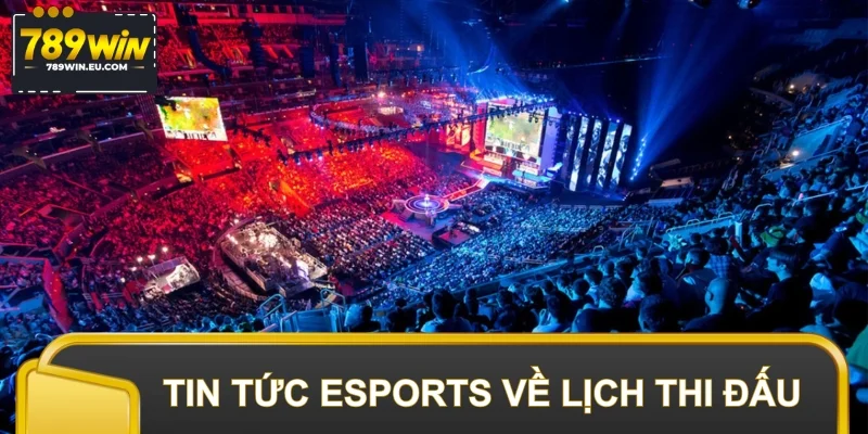 Tin tức Esports về lịch thi đấu nổi bật trong tuần