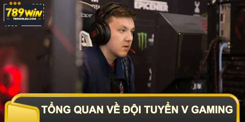 Thông tin cần biết về đội tuyển V Gaming