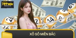 Xổ Số Miền Bắc 789WIN – Quay Một Lần, Trúng Cả Dàn Số